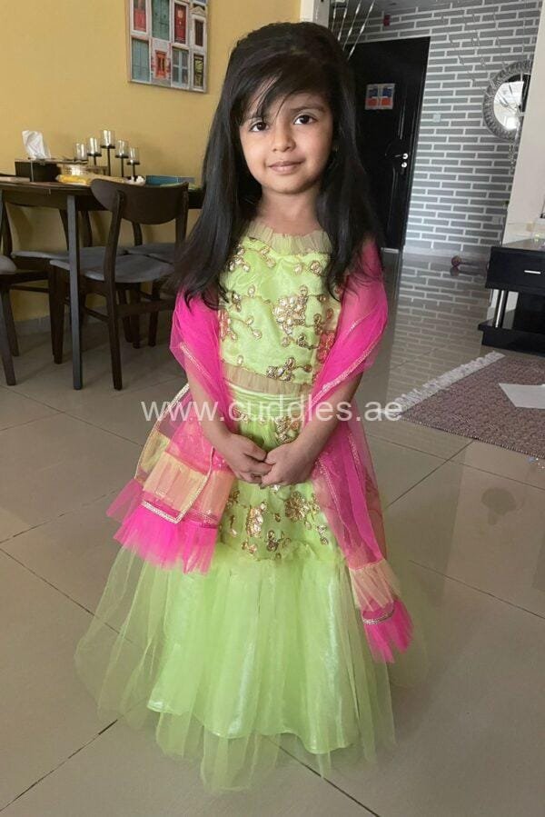 Apple green lehenga choli