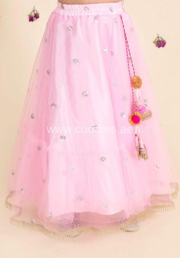 Baby pink lehenga choli