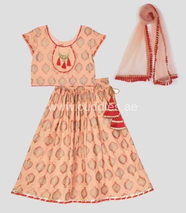 Peach red lehenga choli