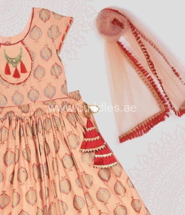 Peach red lehenga choli
