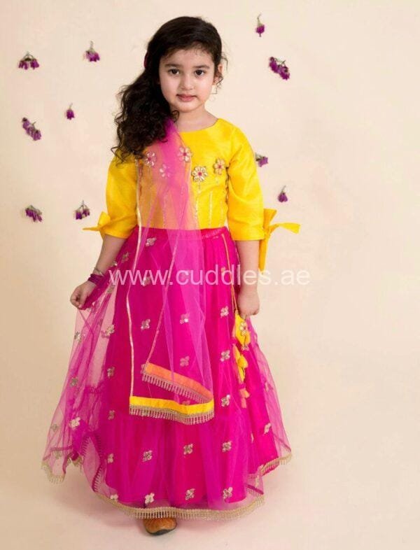 Rani pink lehenga choli