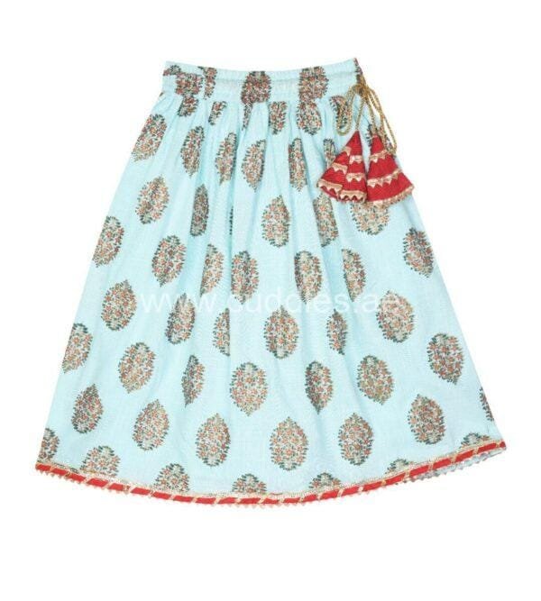 Sky Blue Lehenga Choli