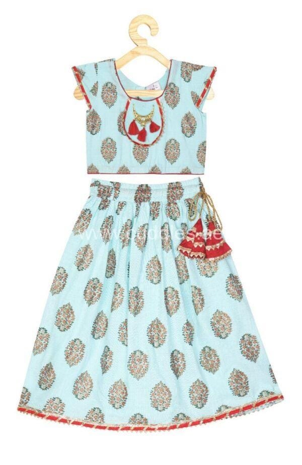 Sky Blue Lehenga Choli