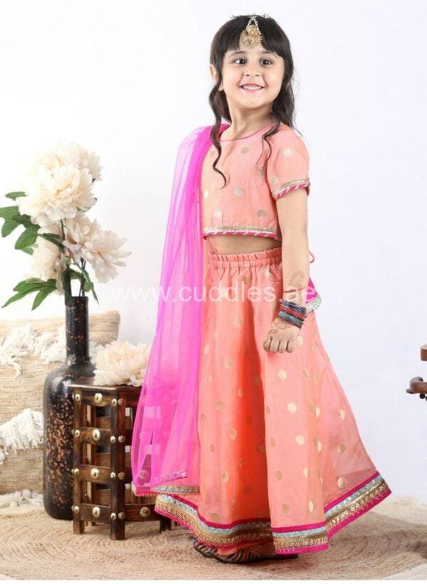Peach and pink lehenga choli