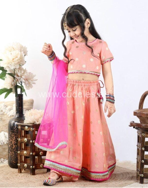 Peach and pink lehenga choli