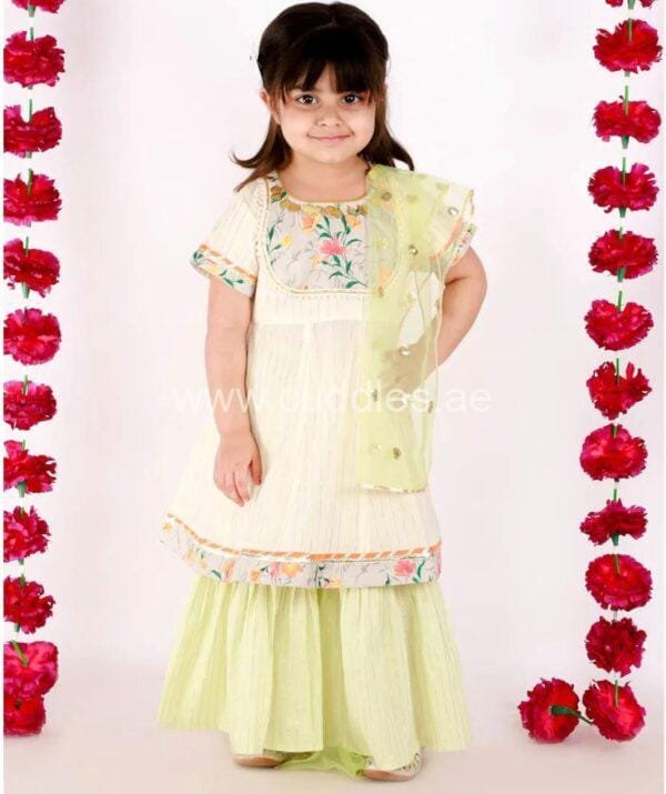 light green sharara set