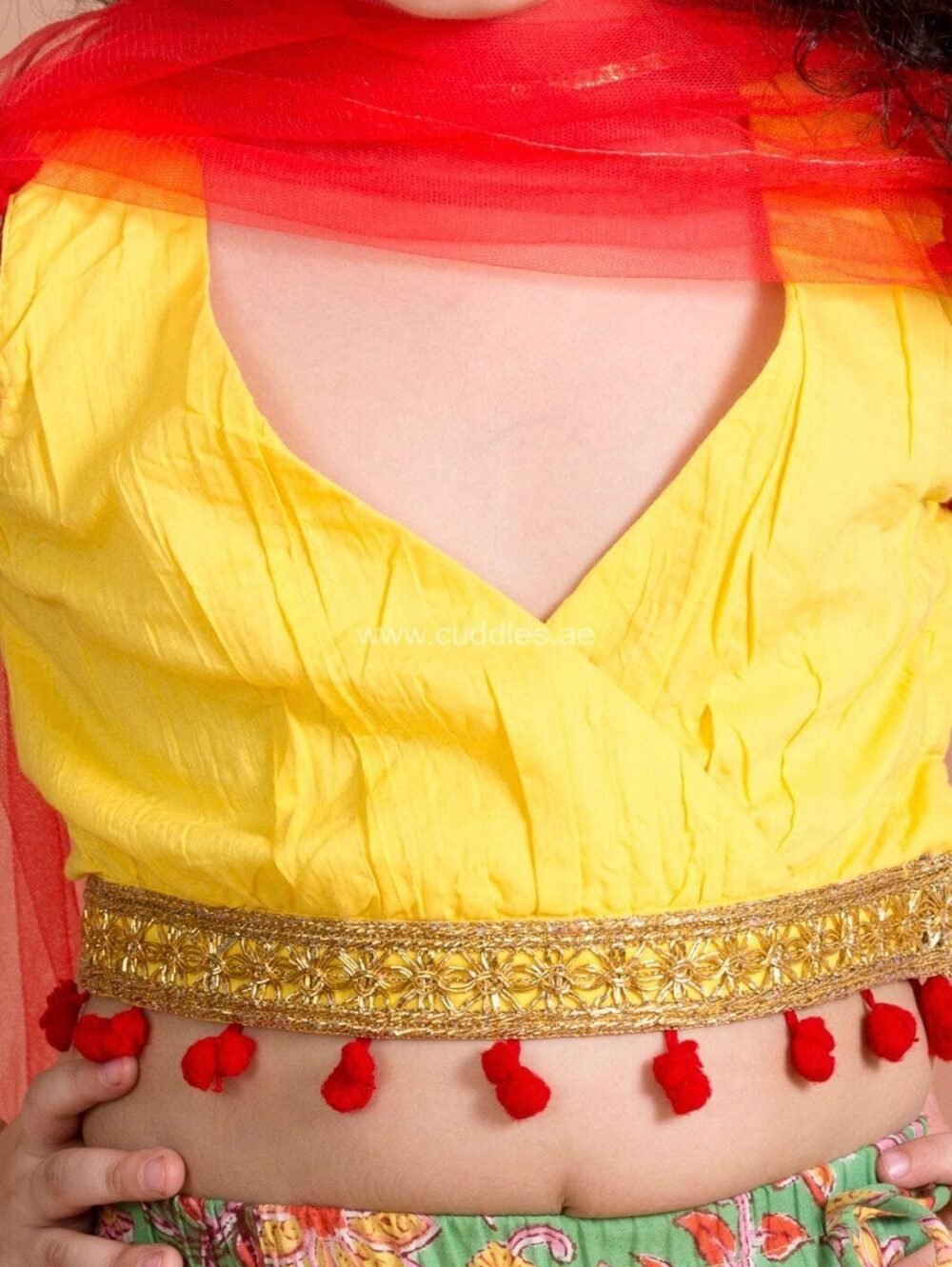 Green Yellow Lehenga Choli With Net Dupatta - Image 2