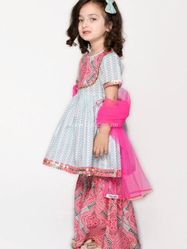 Raina Grey and pink Sharara set with Dupatta - Image 5