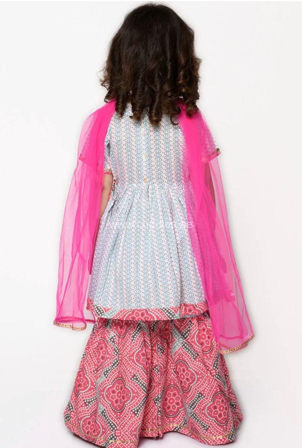 Raina Grey and pink Sharara set with Dupatta - Image 2