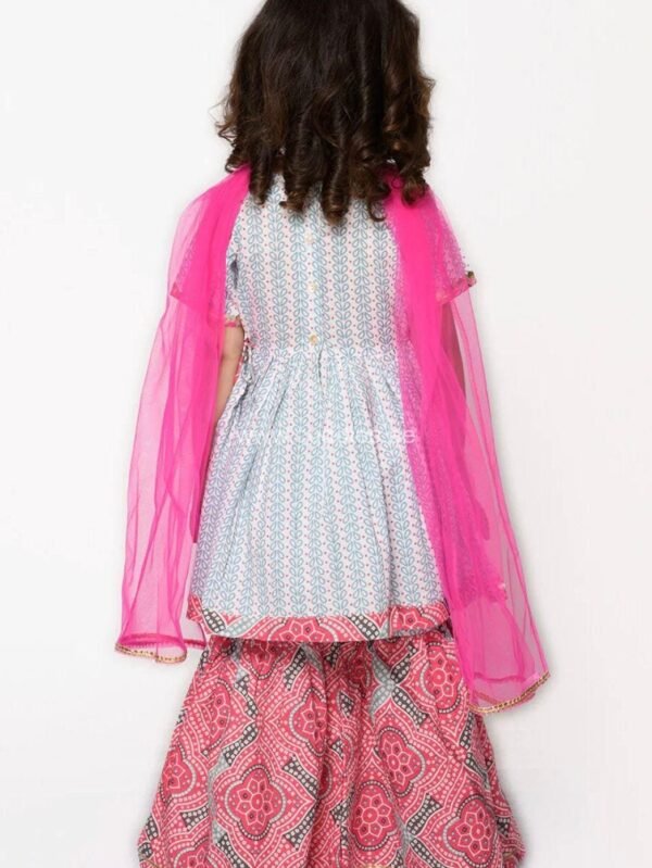 Raina Grey and pink Sharara set with Dupatta - Image 2