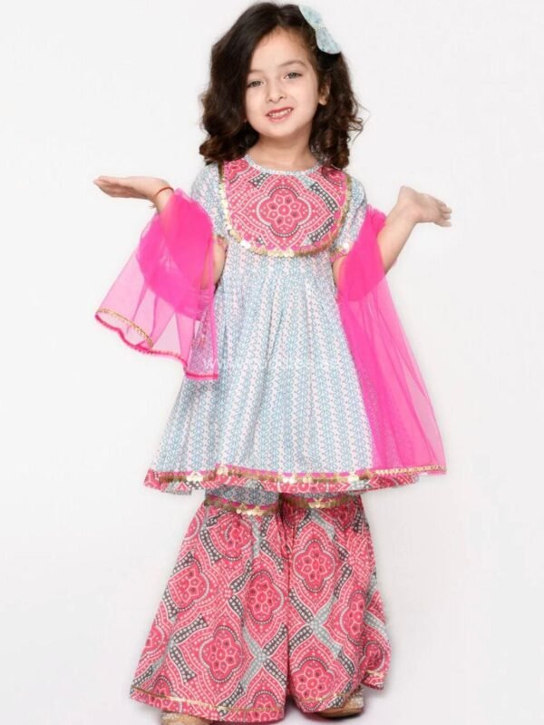 Raina Grey and pink Sharara set with Dupatta