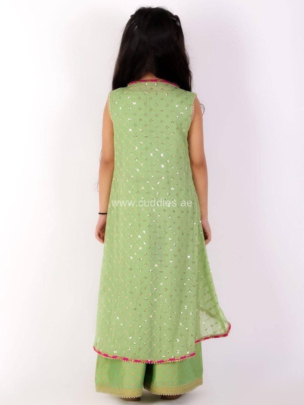 Pistachio green Crop top Palazzo with Jacket set - Image 4