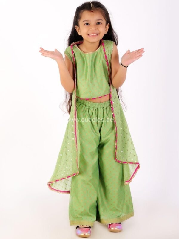 Pistachio green Crop top Palazzo with Jacket set