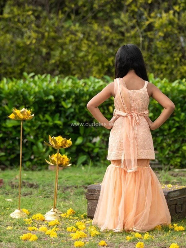 Peach embroidered Kurta and Sharara set with Dupatta - Image 2
