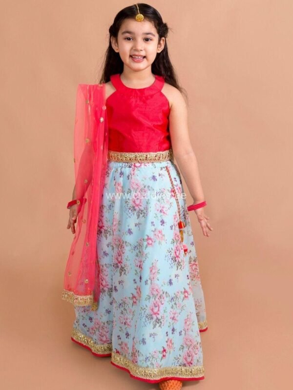 Red and Blue floral Lehenga Choli Set