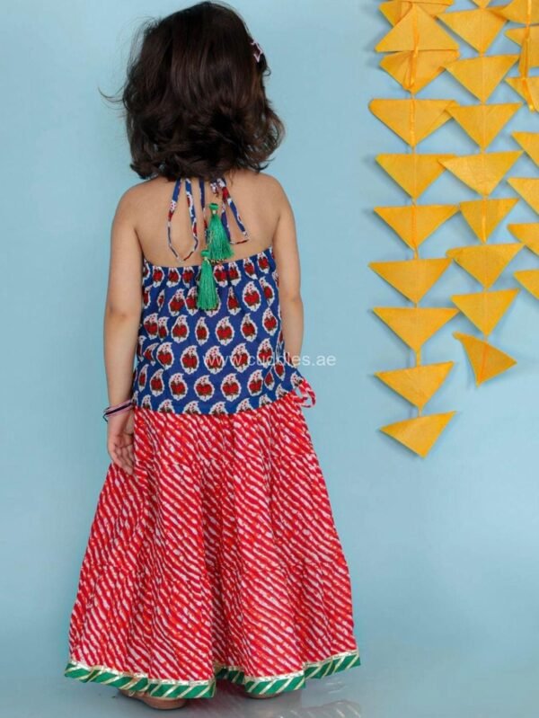 Red and Blue ethnic top and skirt set - Image 2