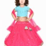Sky Blue and Rani pink sequined Lehenga Choli set