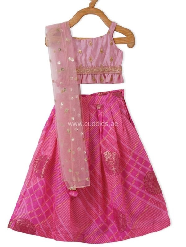 Powder Pink Lehenga Choli with Dupatta