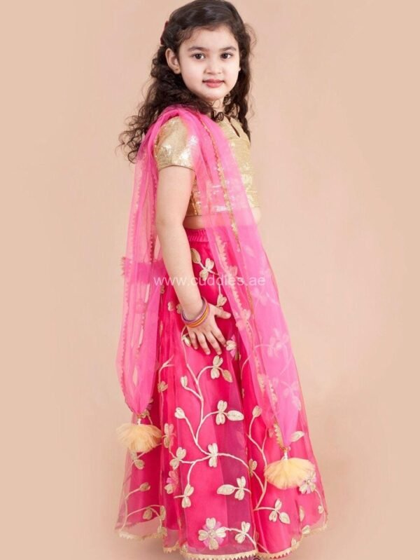 Shimmer Golden and Rani pink Sequins Lehenga Choli set - Image 2