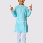 Sky blue festive Kurta pajama set