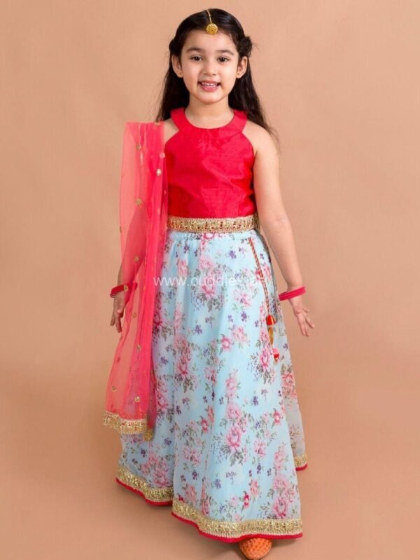 Light blue and Red floral Lehenga Choli set