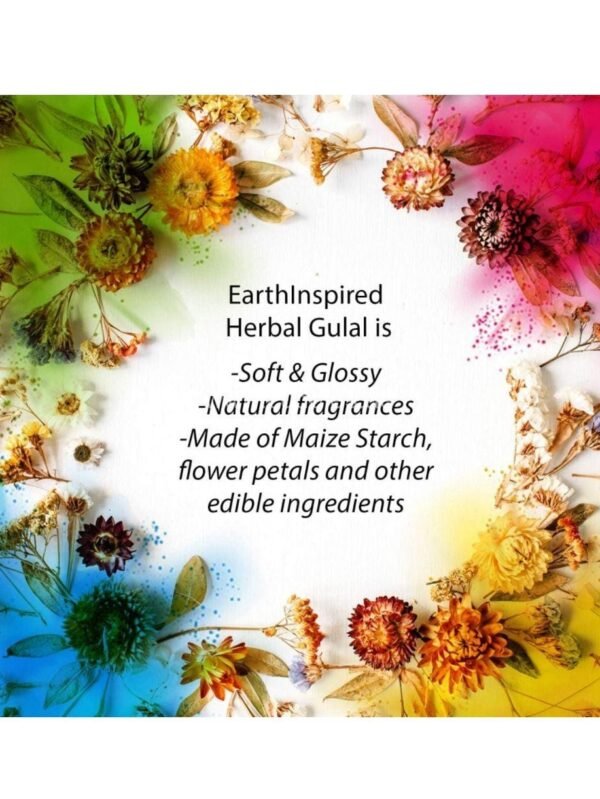 Herbal and Organic Natural Skin friendly Holi Colors  (Pack of 6✖50 grams each) - Image 6