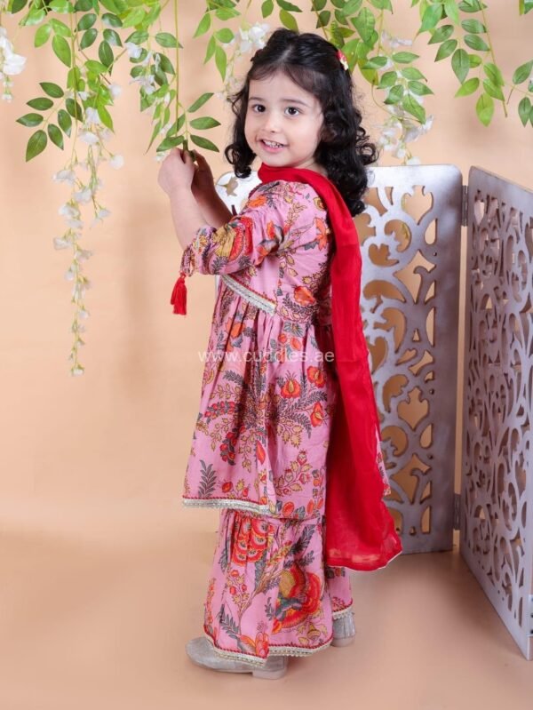 Pink and Red Kurti Sharara set with Dupatta - Image 4