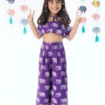 Purple crop top with pants set