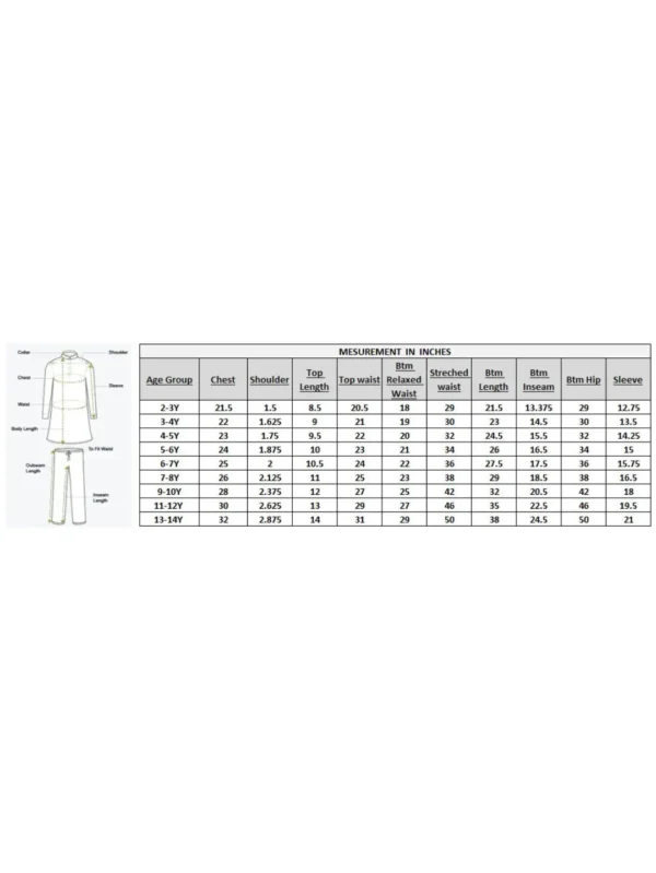 Pari fusion green crop top and palazzo set - Image 5