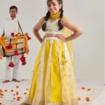 White and yellow panelled organza lehenga Choli with dupatta