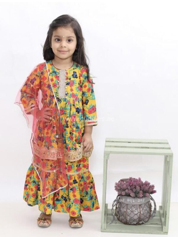 Multicolor Sharara Set