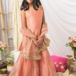 Peach Shimmer Tissue Sharara set with dupatta